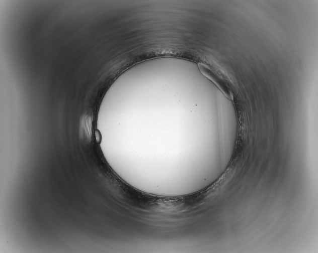 X0000096430070200802141440