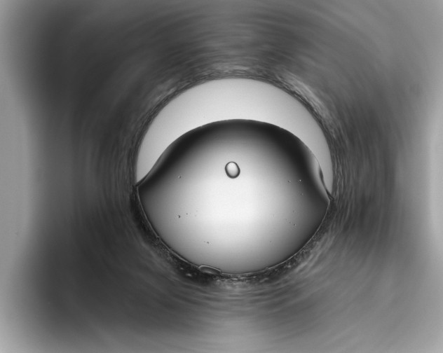 X0000096430071200802141440