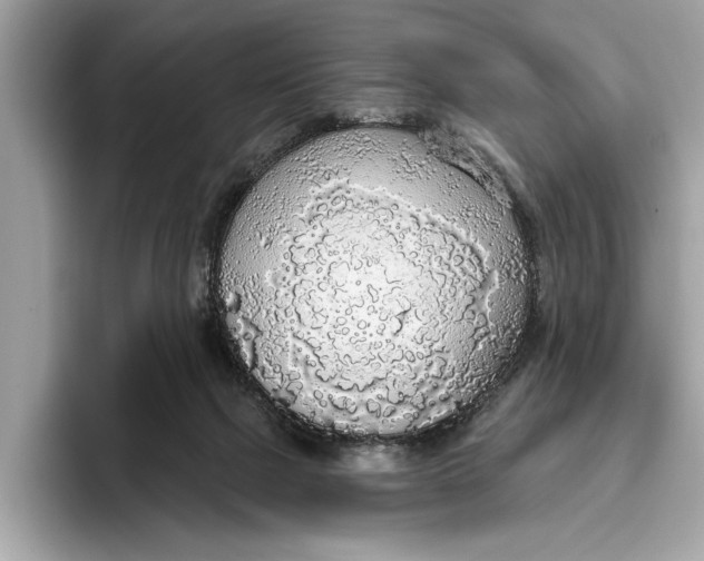 X0000096430073200802141440
