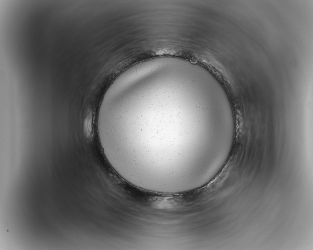 X0000096430074200802141440