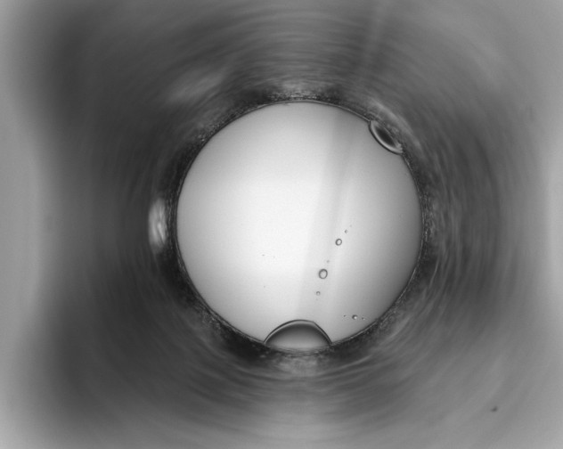 X0000096430075200802141440