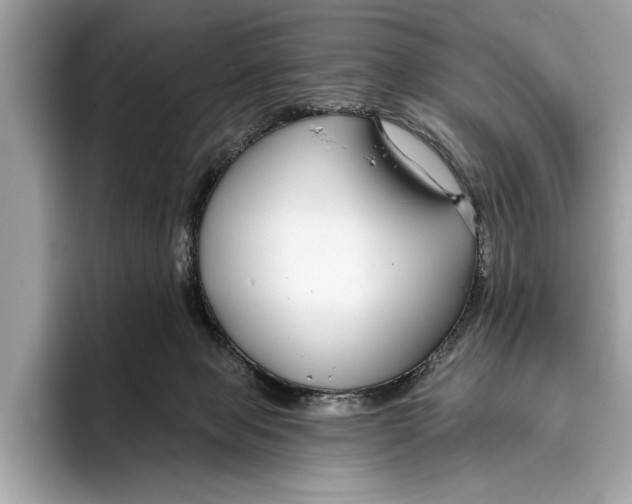 X0000096430077200802141440