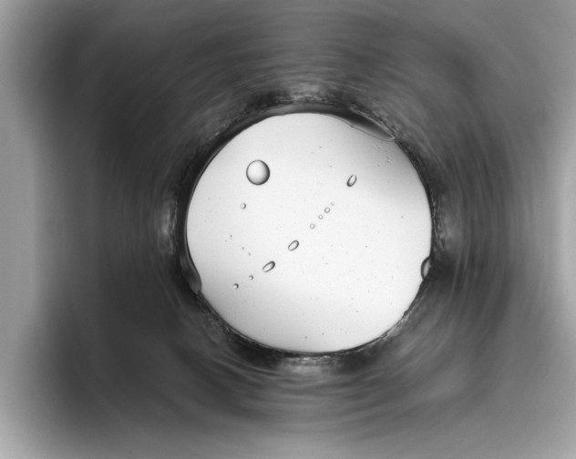 X0000096430082200802141440