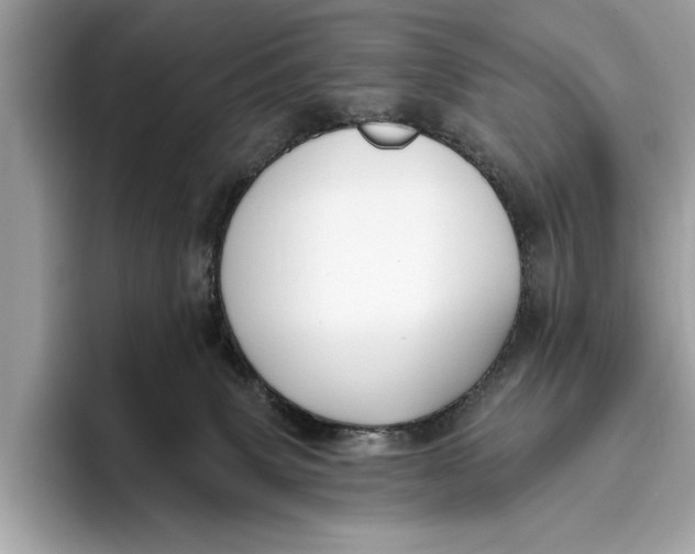 X0000096430083200802141440