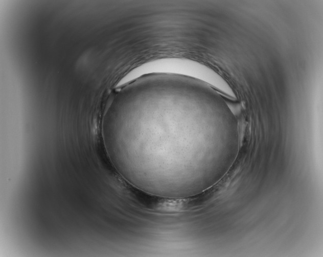 X0000096430084200802141440