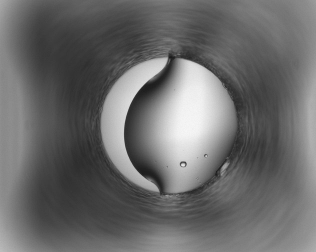X0000096430088200802141440
