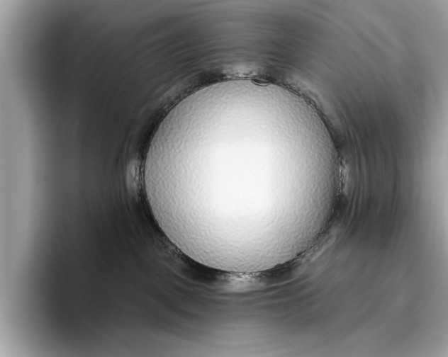 X0000096430093200802141440
