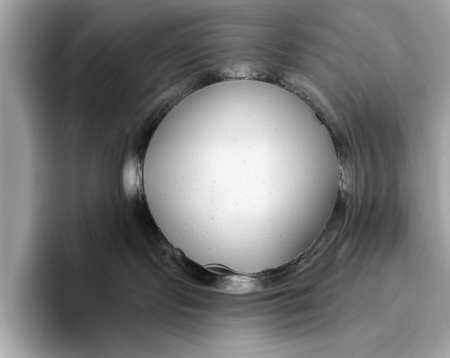 X0000096430095200802141440
