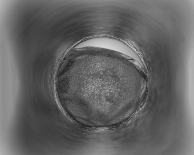X0000096430097200802141440