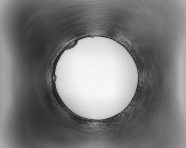 X0000096430098200802141440