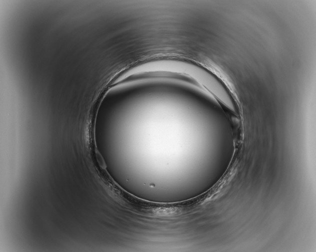 X0000096430105200802141440