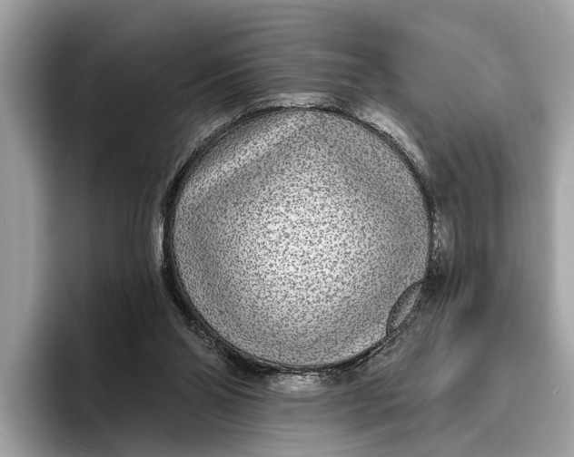 X0000096430110200802141440