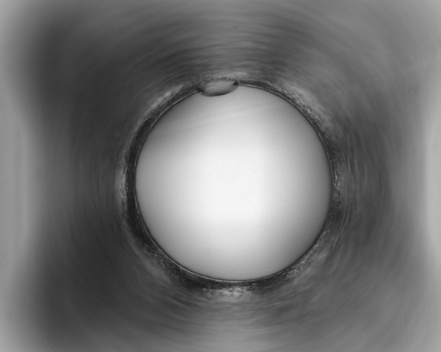 X0000096430112200802141440