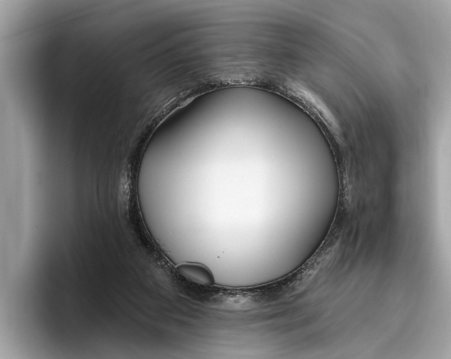 X0000096430113200802141440