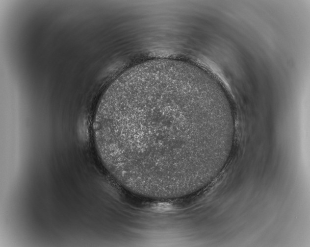 X0000096430114200802141439