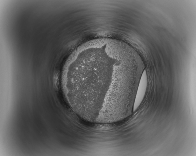X0000096430127200802141439
