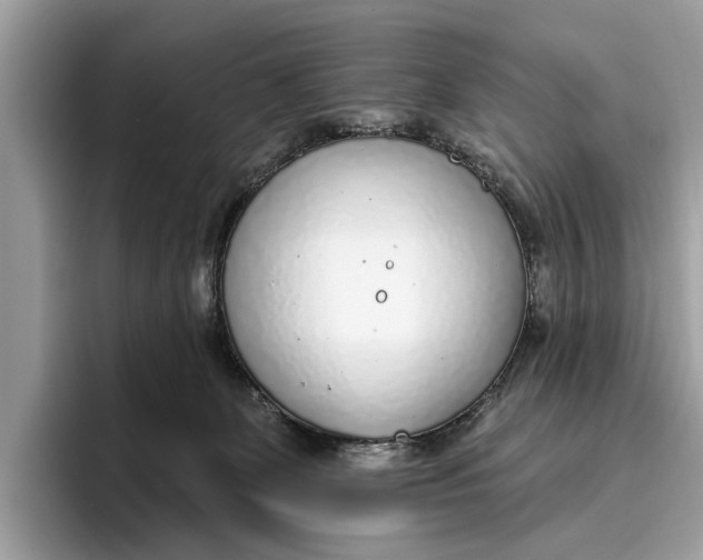 X0000096430131200802141439
