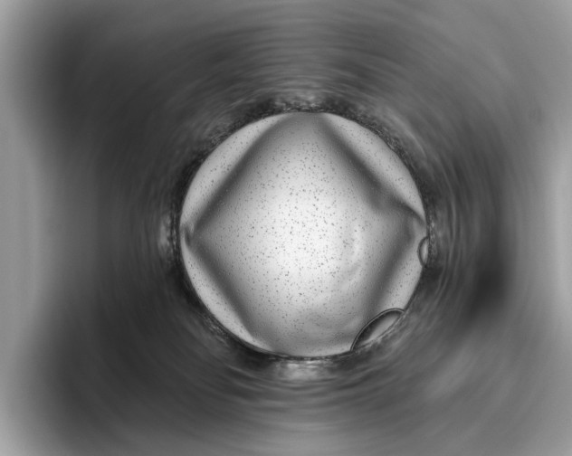 X0000096430134200802141439