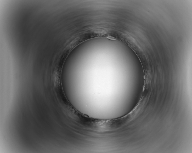 X0000096430136200802141439