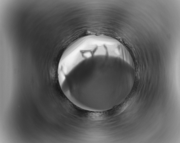 X0000096430139200802141439