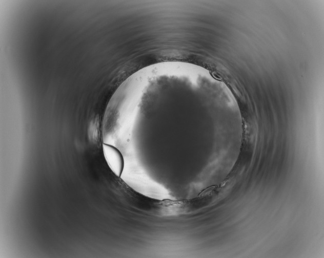 X0000096430143200802141439