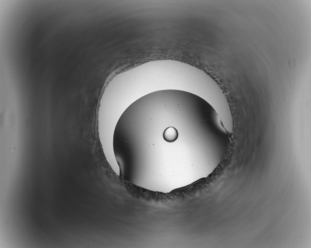 X0000096430144200802141439