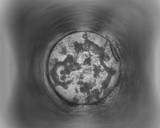 X0000096430145200802141438