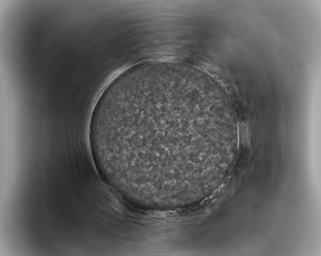 X0000096430147200802141439