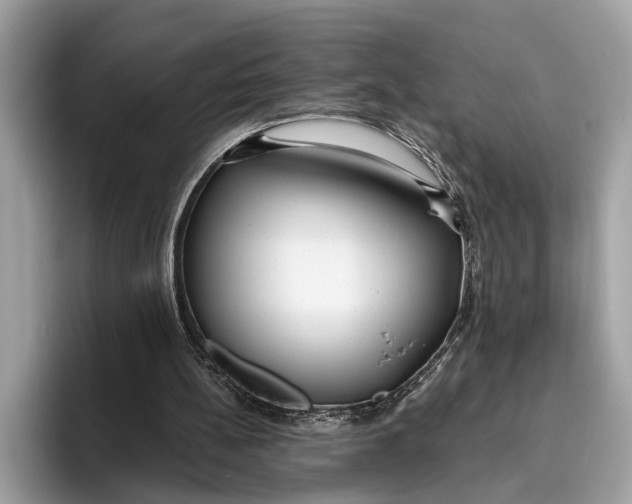 X0000096430148200802141439
