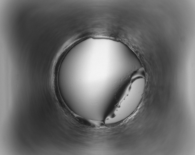 X0000096430150200802141439