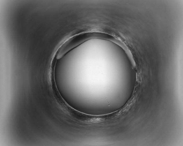 X0000096430152200802141439