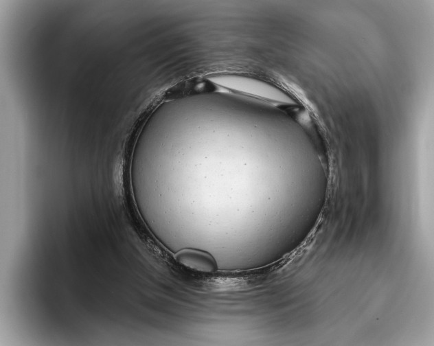 X0000096430154200802141439