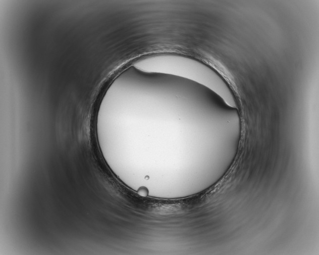 X0000096430155200802141439