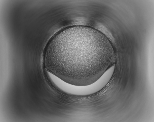 X0000096430156200802141439
