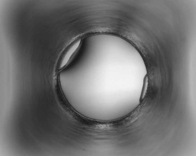 X0000096430160200802141439