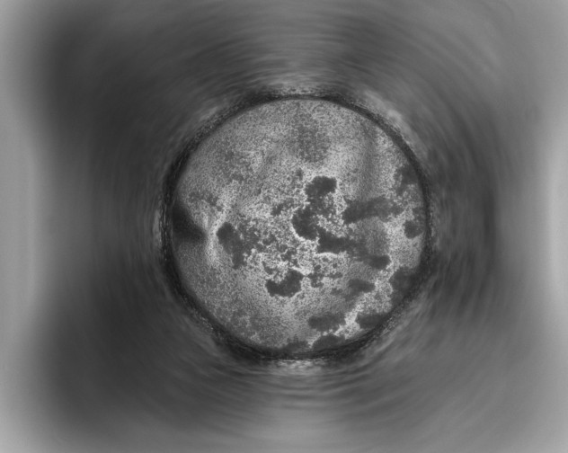 X0000096430161200802141439