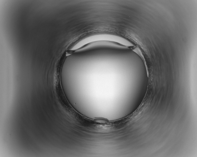 X0000096430164200802141439