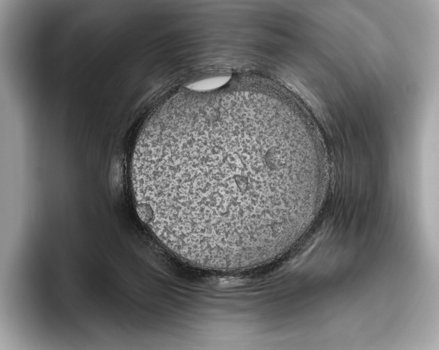 X0000096430165200802141439