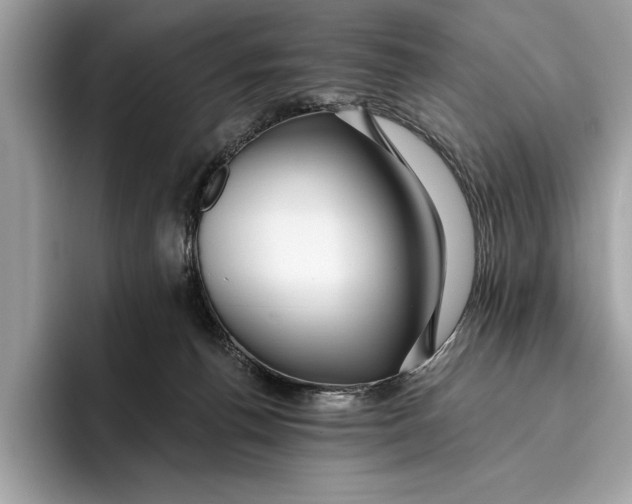 X0000096430176200802141439