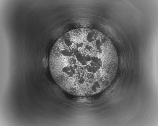 X0000096430177200802141439