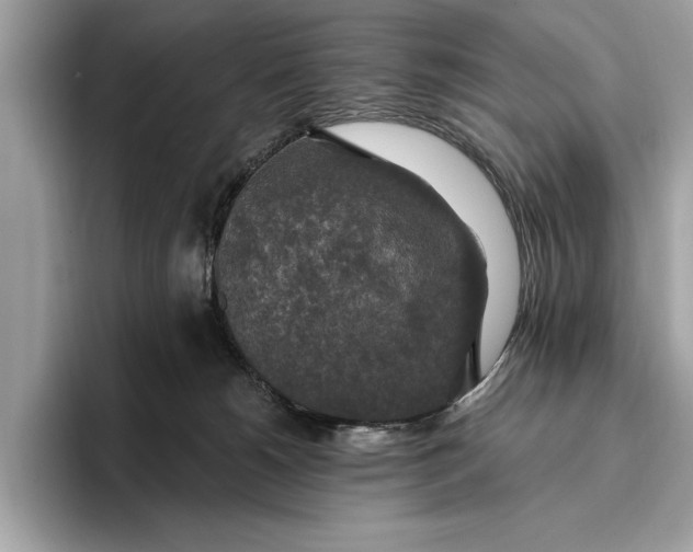 X0000096430180200802141439