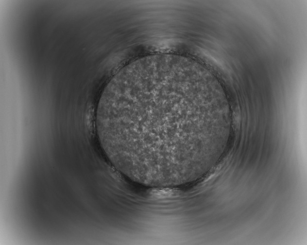 X0000096430181200802141439