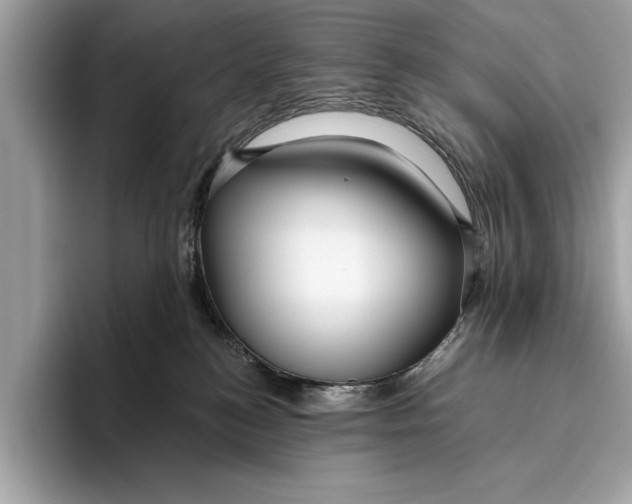 X0000096430184200802141439