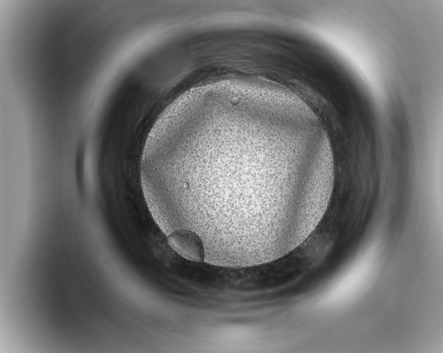 X0000096430189200802141439