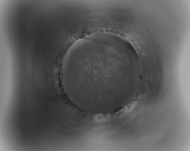X0000096430192200802141439