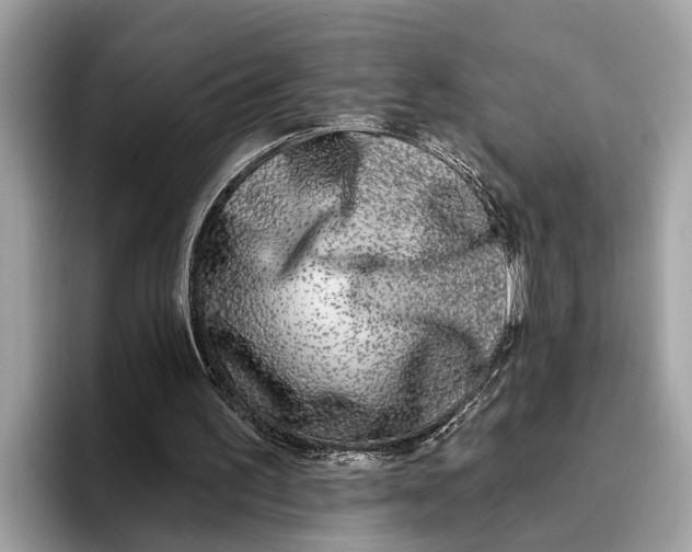 X0000096430195200802141438