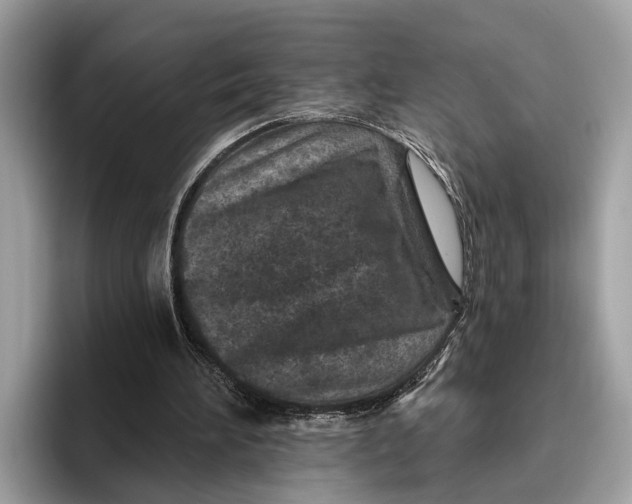 X0000096430196200802141438