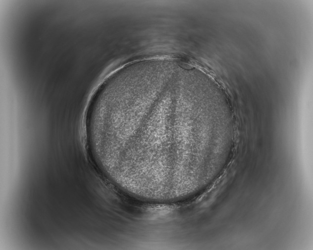 X0000096430198200802141438