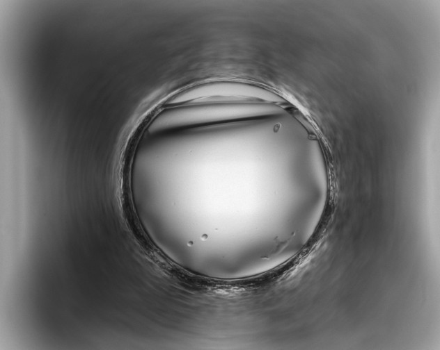 X0000096430199200802141438