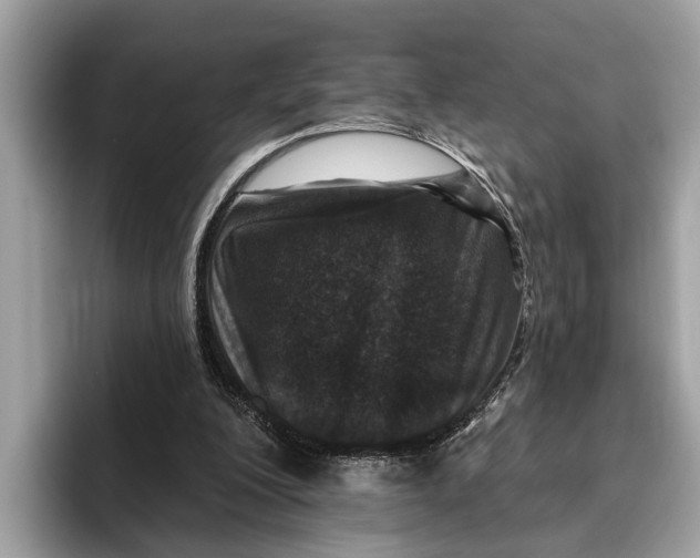 X0000096430200200802141438